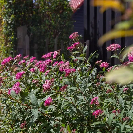 Casa vacanze Sonnenwieck 01 *