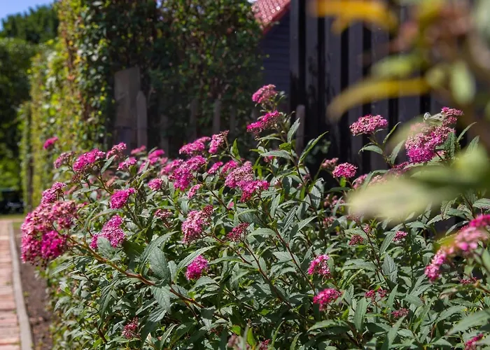 Сasa de vacaciones Sonnenwieck 01 *